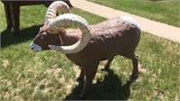 Cam the ram