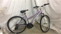 Purple Roadmaster Bicycle T9C
