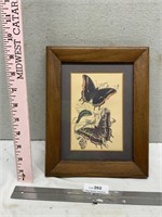 Vintage Framed Butterfly Print