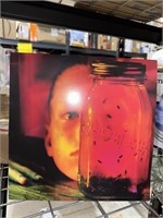 Jar Of Flies (Vinyl)