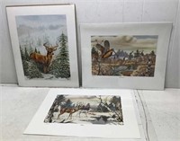 Wildlife Prints, 20 1/2 x 16