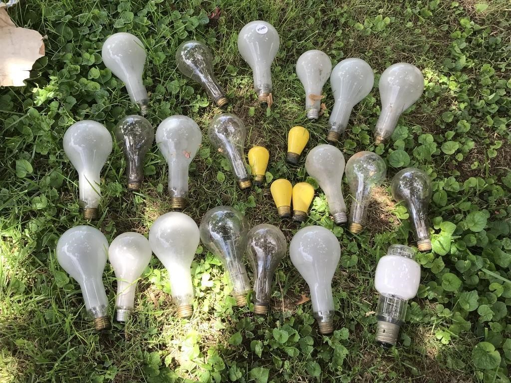 Selection of Vintage Light Bulbs