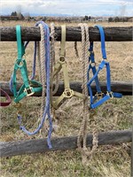 3 NYLON HALTERS WITH 3 LEAD ROPES