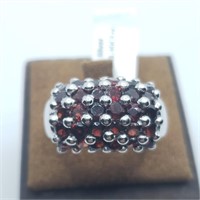 $180 Silver Garnet(3.4ct) Ring