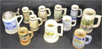 12 Assorted Size Beer Steins