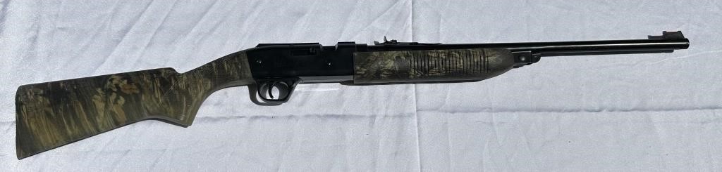 Daisy BB Rifle