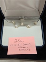 14K Gold with Pearls Necklace and Earrings