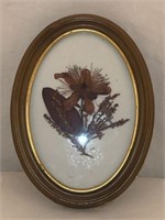 Framed Vintage Pressed Flowers & Sea Shell Art