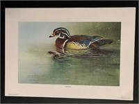 "Woodie in The Rain" Jim Michielsen Limited Print