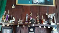 Assorted Sports Trophies and Awards