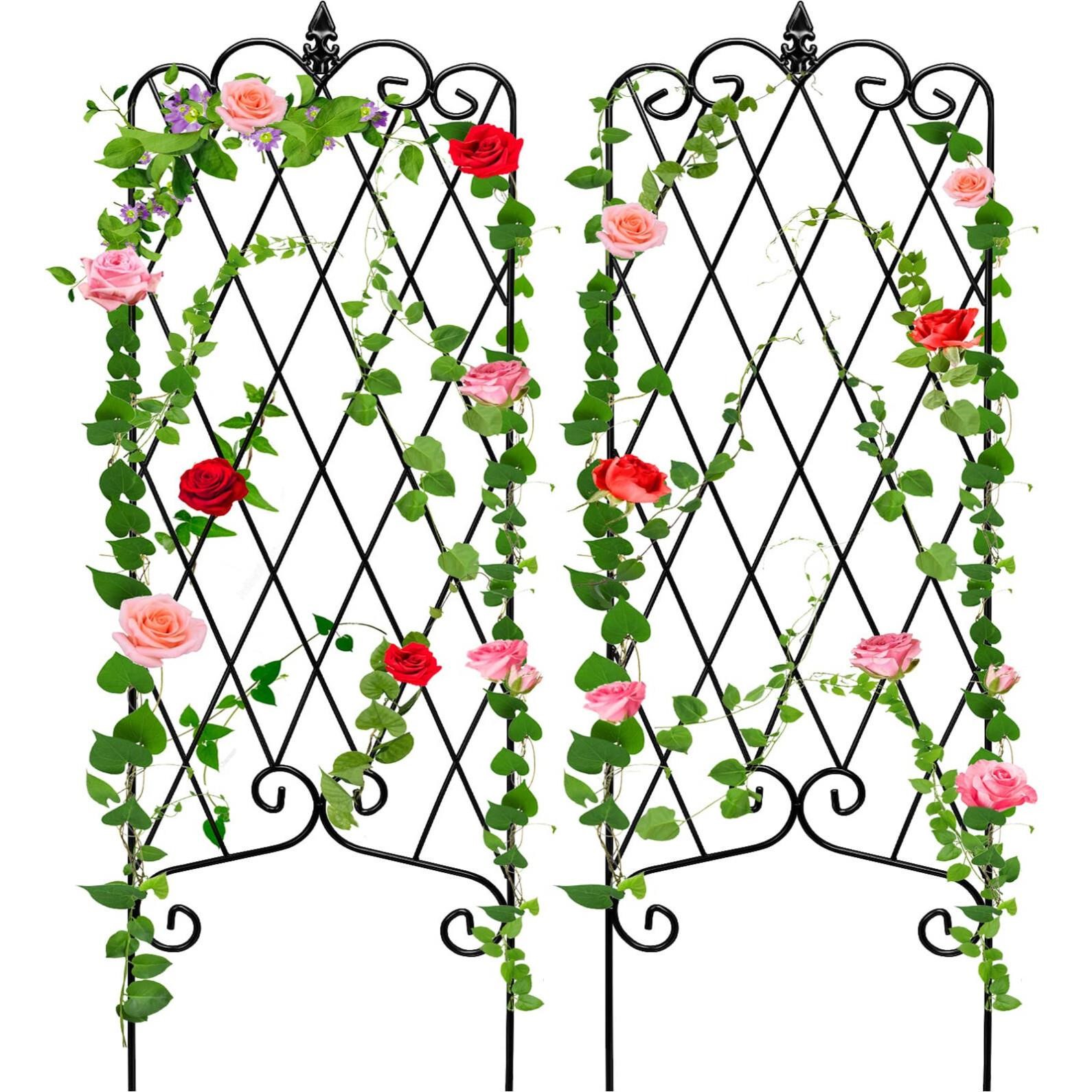 AMAGABELI GARDEN & HOME 2 Pack Garden Trellis for