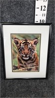 tiger hanging picture