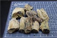Eden Valley Petrified Wood Limb Pieces, 2lbs 9oz