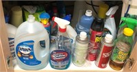 X - MIXED LOT OF HOUSEHOLD CLEANERS (K76)