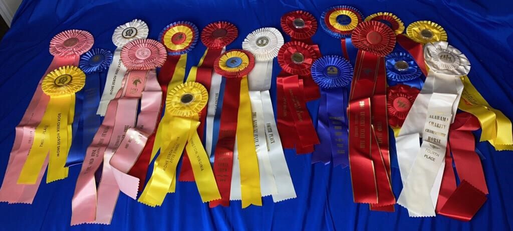 20 Horse Show Ribbons From Various Events &