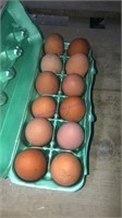 12 Fertile Blk Copper Maran Eggs