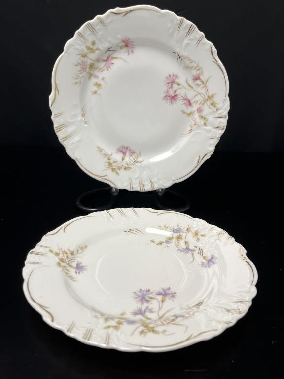 2 Dresden Ceramic Floral Plates, Germany