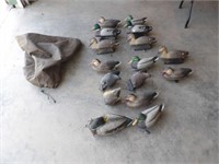 16-Various Duck Decoys w/Brown Mesh Bag