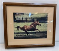 Framed Horse Picture, Signed Tony Leonard 1975