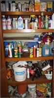 CONTENTS OF GARAGE CLOSET: CLEANING SUPPLIES,