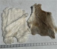 (2) rabbit furs