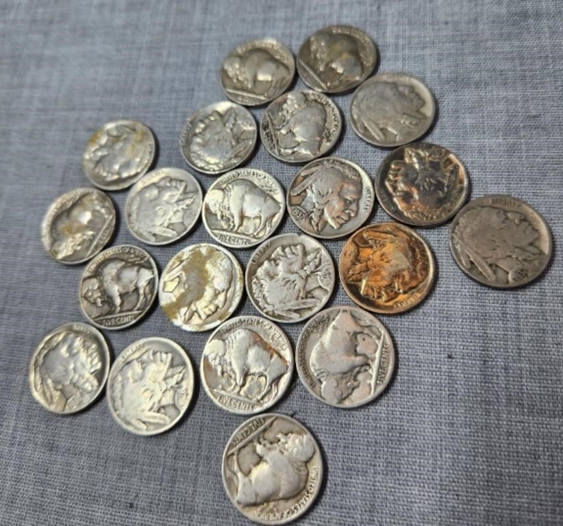 21 Buffalo Nickels, unresearched
