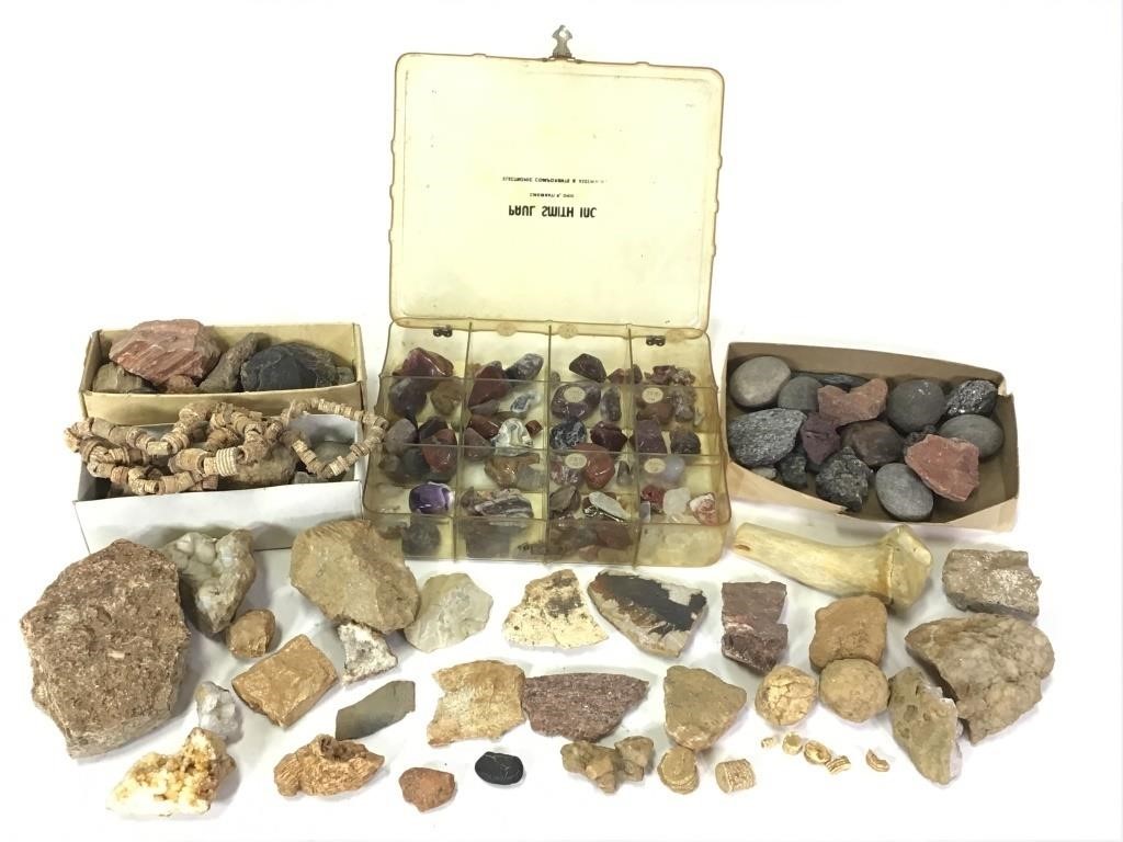 Mixed Polished / Raw Mineral Specimens & Fossils