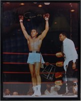 Cassius Clay Autographed photo - Liston Knockout