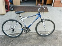 Infinity 21 speed mountain bike