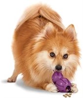 PetSafe Busy Buddy Barnacle - Dog Chew Toy - Treat