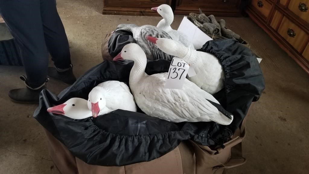 16 Snow Geese Decoys & 7 antique goose decoys