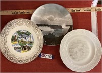 3 plates- Iowa plate, 1967 plate, Niagara Falls