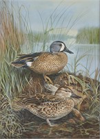 Jim Foote Blue-Winged Teal Oil Painting