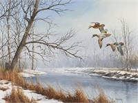 David Maass Green-Winged Teal Oil Painting