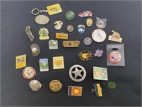 Group of Collectible Pins
