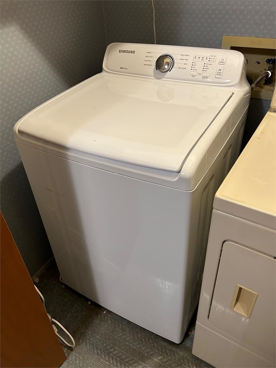 Samsung Self Cleaning Washer