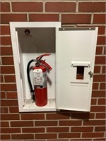 Sentry Fire Extinguisher and Metal Box