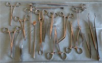 W - MIXED LOT OF SURGICAL INSTRUMENTS (G9)