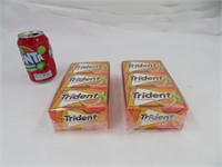 24 pack de gommes Trident