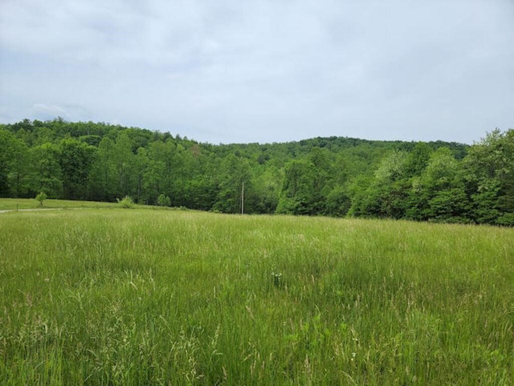 Offering #2 - +/- 25.731 acres
