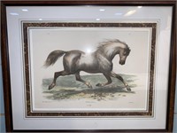 Pr French Framed Horse Prints