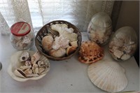 Lot of Sea Shells-All for one money!