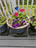 Potted Plant (deck)