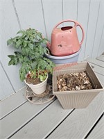 Tomato Plant and Pots (deck)