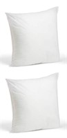 Foamily Throw Pillows Insert Set of 2 - 18 x 18