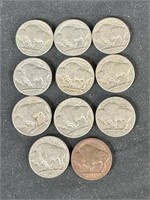 Lot of 11 Buffalo Nickels Unable to read date