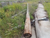 (8) Wood Highline Poles