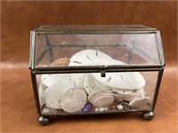 Vintage Glass Box with Sand Dollars