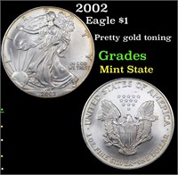 2002 Eagle $1 Grades Mint State