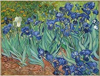 Diy Paint By Numbers Iris Flower By Van Gogh